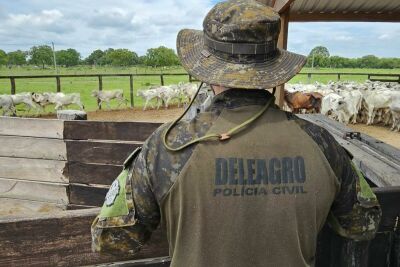 Imagem da notícia Polícia recupera gado furtado avaliado em R$ 400 mil durante leilão em Campo Grande